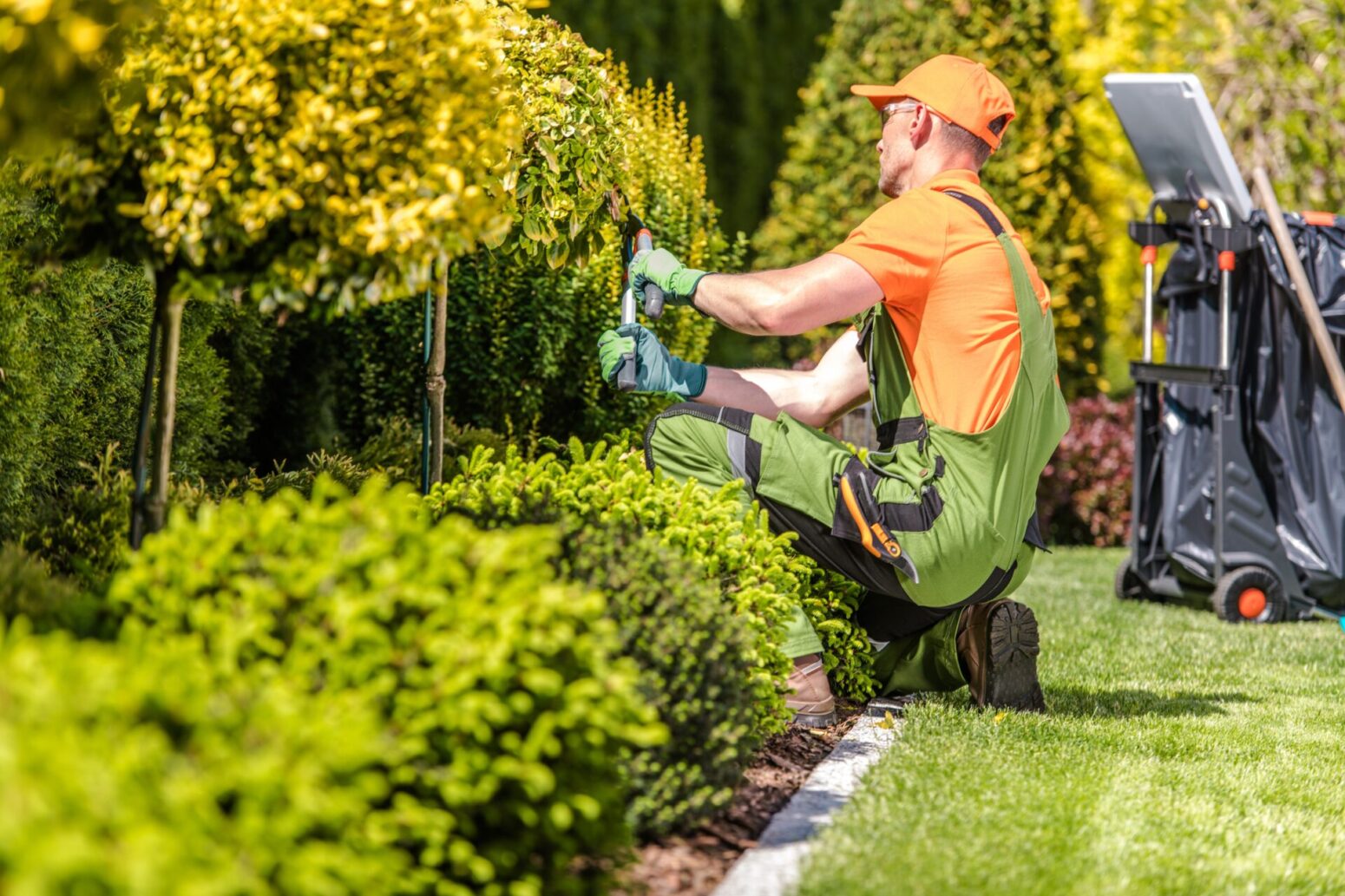 Soil, Potting Mix and Compost. The risks you may face at work.